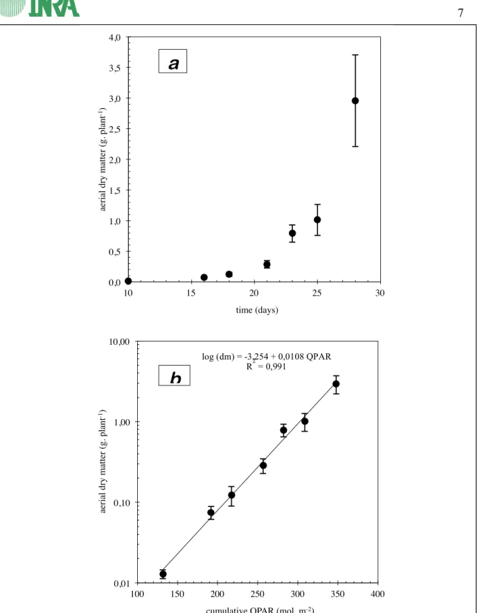 fig. 2.2: growth of dry matter production in the control plants (table VII, with phosphate)