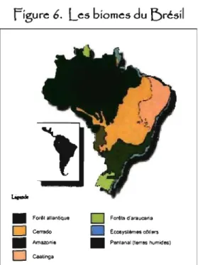 figure  6.  Les biomes du I:)résil  •  FOlêl atlantique  o  Cerrado  •  Amazonie  o  Csatinga  o  Forêts d'araucaria  Ecosys.lèmes ootlers 