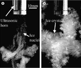 Figure 1. Photographies de cristaux de glace générés dans une solution de saccharose, par une sonotrode commerciale : (a) Les premiers cristaux de glace apparaissent juste après l’émission de l’onde ultrasonore, (b)