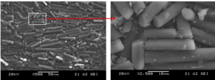 Fig. 9 SEM photographs of fracture of the hole drilled at different orientations of fiber