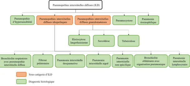 Figure 1.1. Les diagnostics histologiques d’ILD les plus communs. Figure tirée de la référence [6].
