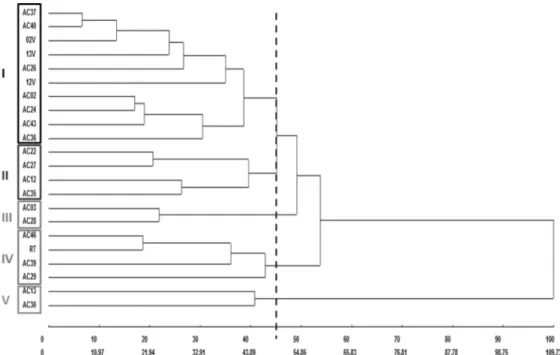 Figure 1. Analysis of hierarchical grouping of 22 genotypes of conilon coffee through the UPGMA method based on  the matrix obtained through the Mahalanobis generalized distance