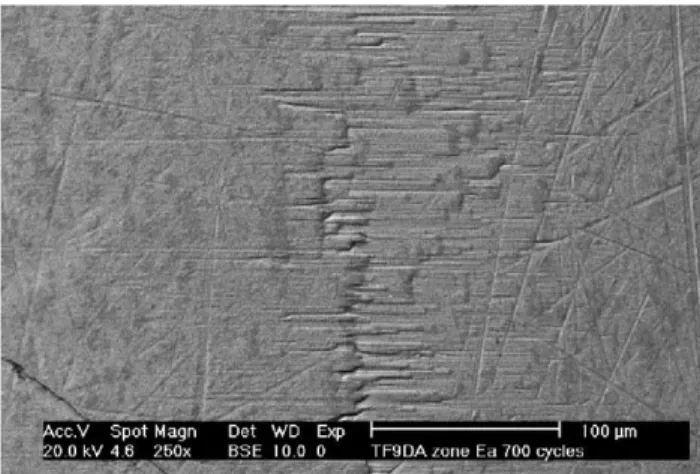 Fig. 18. Die radius degradation for α = 90 ◦ , at the exit of the contact (zone A) after 700 cycles: transferred particles.