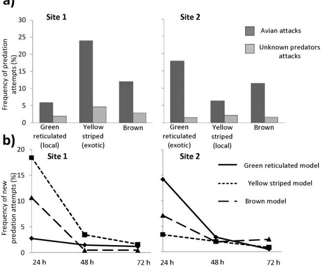 Figure 4.2: Predation frequency on clay models representing a non conspicuous phenotype (brown) and two  aposematic  phenotypes  of  Ranitomeya  imitator (green  reticulated  and  yellow  striped)  in  two  sites  characterized  by  distinct  aposematic  s
