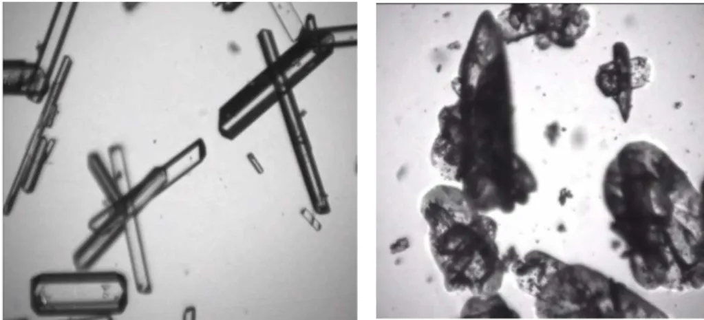 Figure  10.  Typical  video  pictures  of  ammonium oxalate  crystals  in  suspension