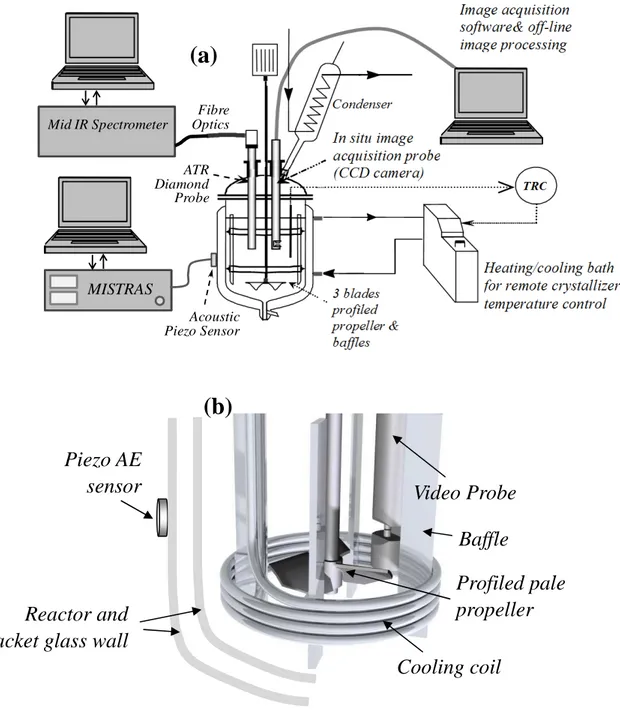 Figure  1.  (a)  Schematic  of  the  lab-scale  crystallization  setup:  temperature  controlled  batch 