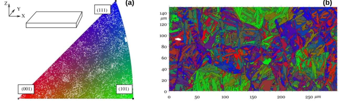 Figure 2: Inverse pole figure according X axis, white dots correspond to the orientation of each martensitic lath (a); Spatial distribution of the orientations (b).