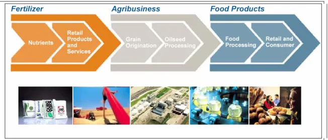 Figure 6 : Bunge’s value through integration 