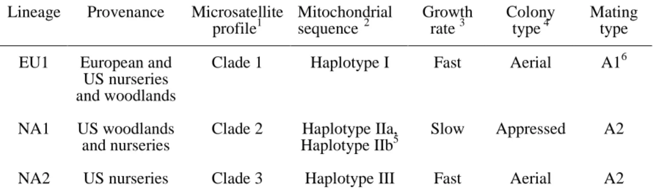 Table  1.    Characteristics  of  Phytophthora  ramorum  lineages.  1   Ivors  et  al.,  2006;  2   Martin  (2008);  3  Growth  rate  determined  on  V8  agar;  4  Mycelial  growth  habit  on  V8  agar  at  room  temperature;  5  Haplotype  IIb  from an  O