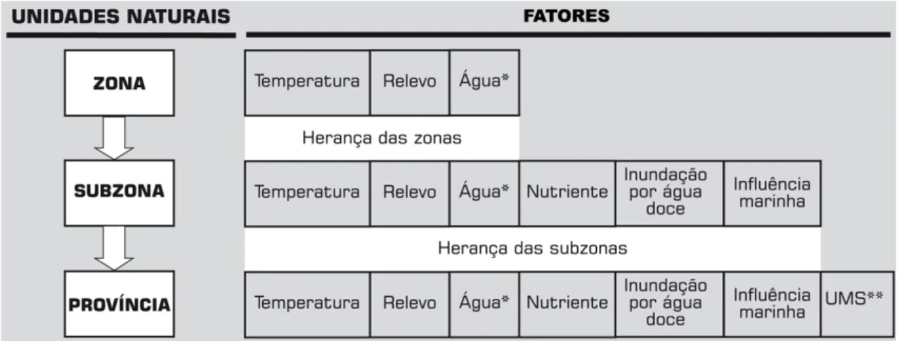 FIGURA 2 - Representação da hierarquia das Unidades Naturais com os fatores que  participam de cada nível (FEITOZA, 2001a).