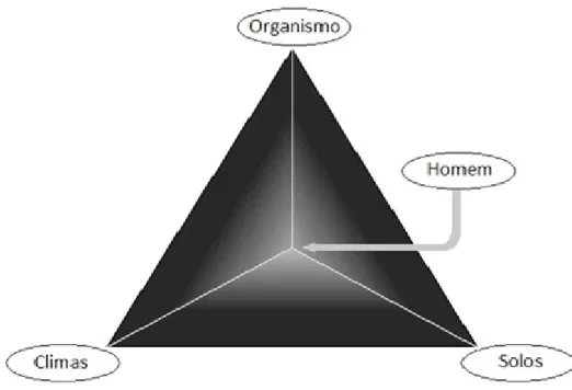 FIGURA 1 - Representação do tetraedro ecológico de acordo com Resende, Lani e  Feitoza (1993).