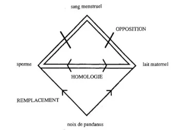 Fig.  2.  Relations entre  les substances ches les Sambia. 