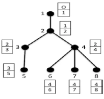 Figure 2: Domino decision tree 