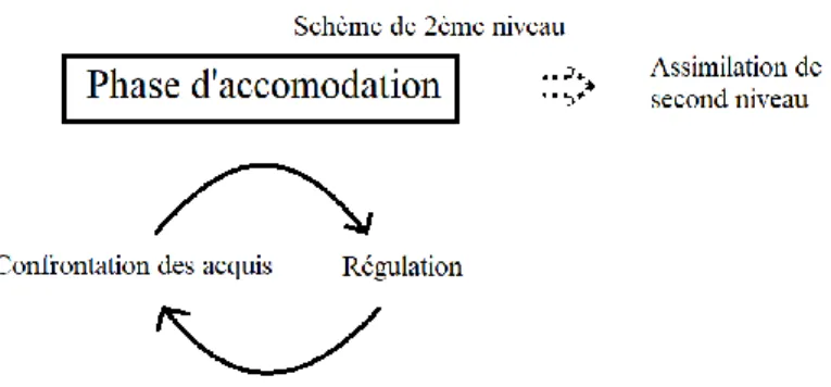 Figure 2.2.5 : Phase d’accommodation 