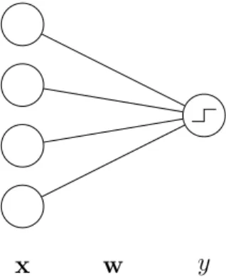 Figure 1.2 – A visualization of the perceptron as a neural network with weights w going from the input x to the output y
