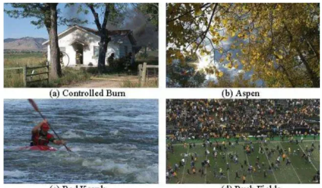 Fig. 2. Videos used for simulation.