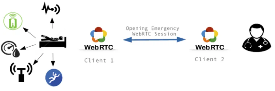 Fig. 3: Continuous monitoring of a falling