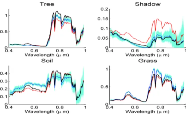 Fig. 1. Real Madonna image and the estimated classification map using UsGNCM.