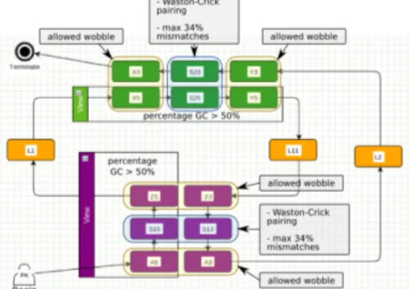 Fig. 2. Global overview of the final Logol model for the PRF pseudo-knot