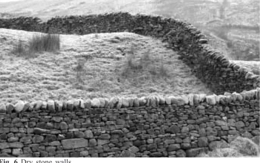 Fig. 6 Dry stone walls