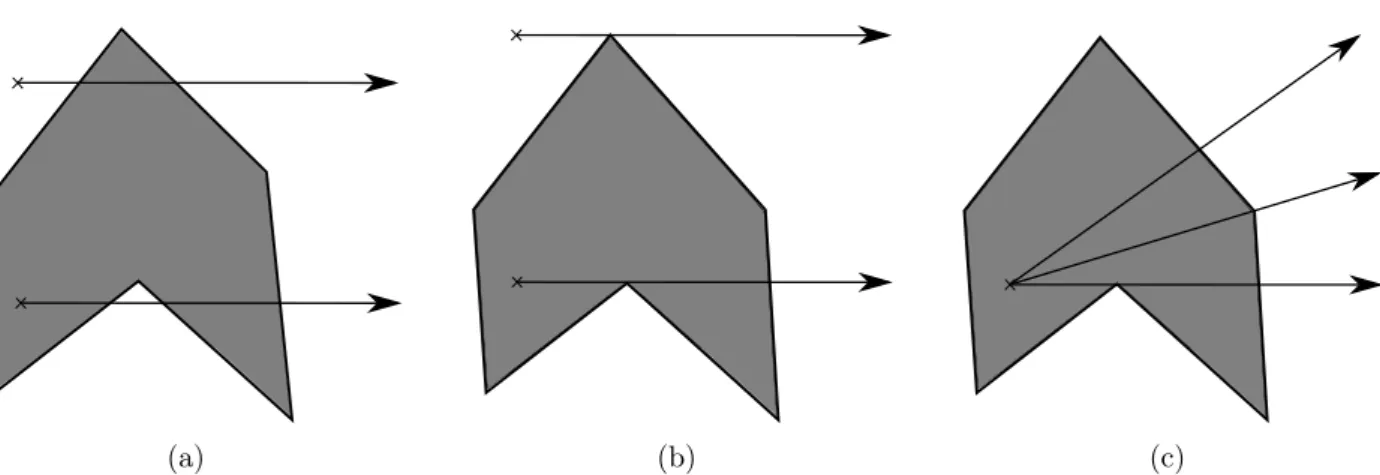 Figure 2: Ray casting algorithm. (a) Simple cases: the rays intersect the polygon edges