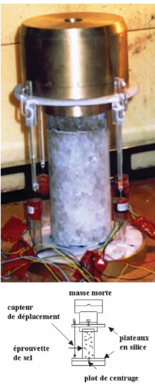 Fig. 2. Dispositif de mesure de ﬂ uage du sel. Les échantillons ont une hauteur de 16 cm et un diamètre de 7 cm