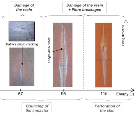 Fig. 3. Influence of the impact energy on the damage of the skin. (For interpretation of the references to color in this figure legend, the reader is referred to the web version of this article.)
