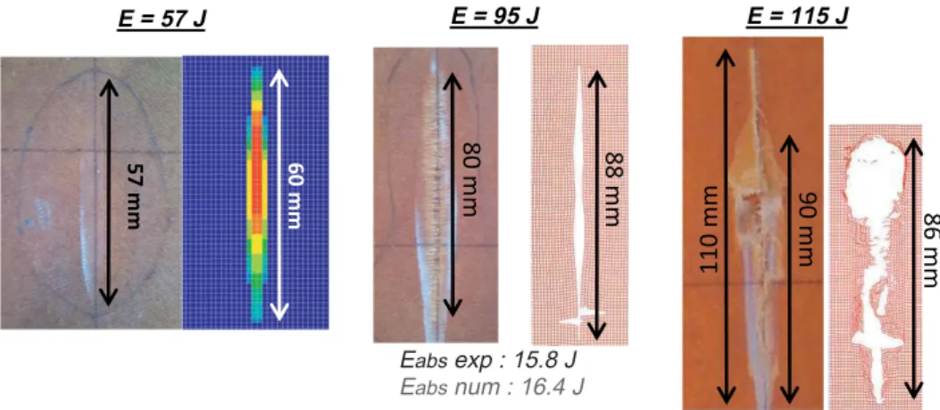 Fig. 9. Experimental and numerical fracture surfaces. (For interpretation of the references to color in this figure legend, the reader is referred to the web version of this article.)