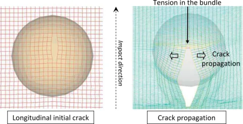 Fig. 13. Damaged area and transverse micro-cracking of the matrix. (For interpre- interpre-tation of the references to color in this figure legend, the reader is referred to the web version of this article.)