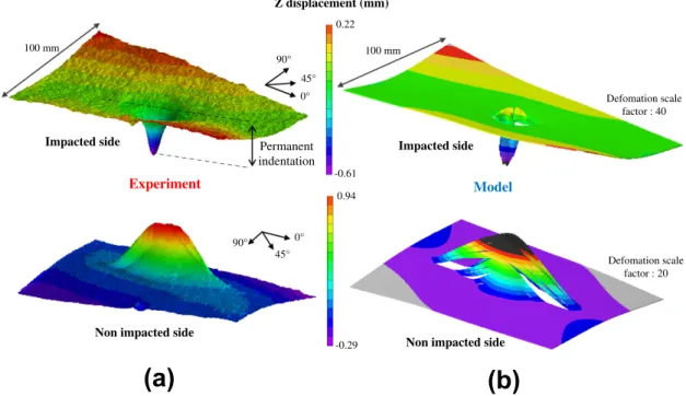Fig. 15. Deformed shape of the plate after a 25 J impact: experimental (a) and numerical (b) results.