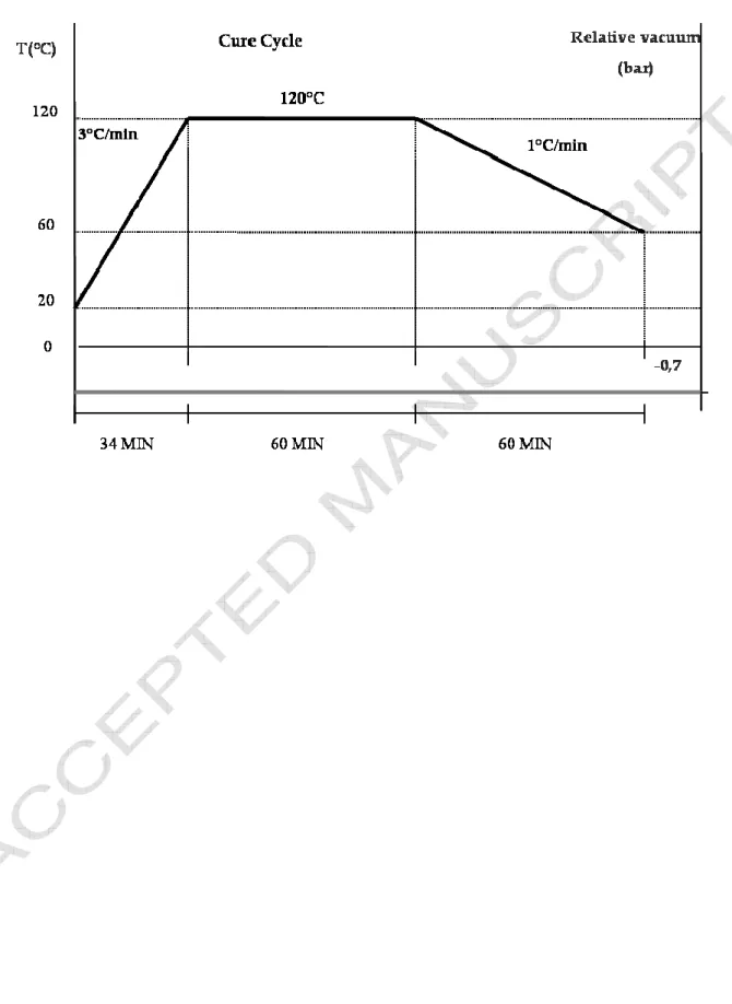 Figure 3: Cure cycle 