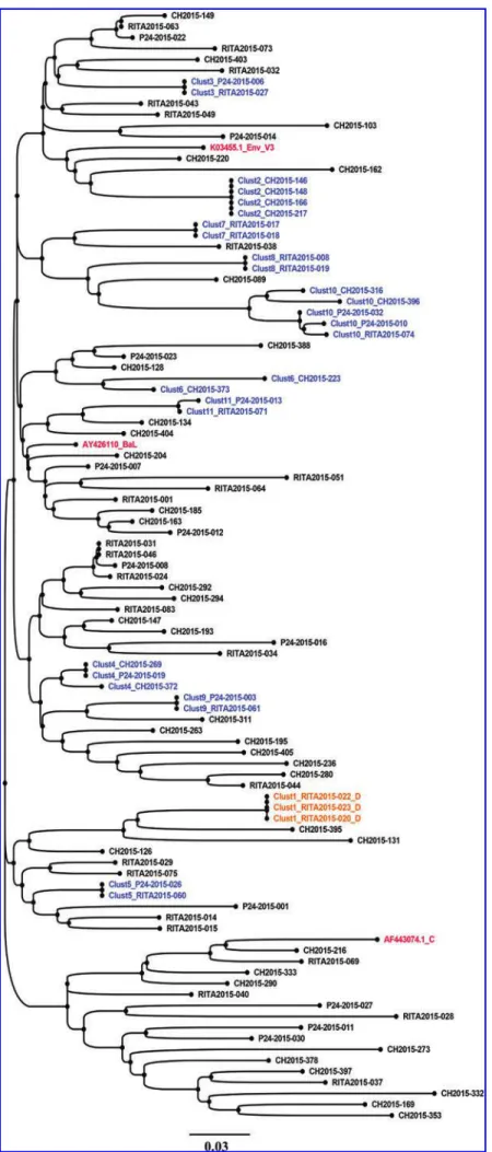 FIG. 3. Molecular phylogenetic reconstruc- reconstruc-tion of HIV-1 TCs among newly and  chroni-cally HIV-infected individuals using env gp120 V3 loop-derived sequences (108 bp).