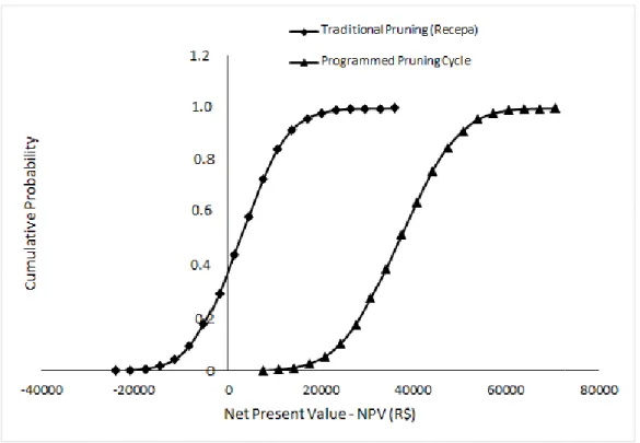 Fig. 2. Cumulative probability distribution of the net present value (NPV)