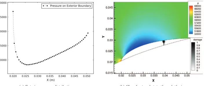 Fig. 23. Pressure distribution and damage field for the airfoil case.