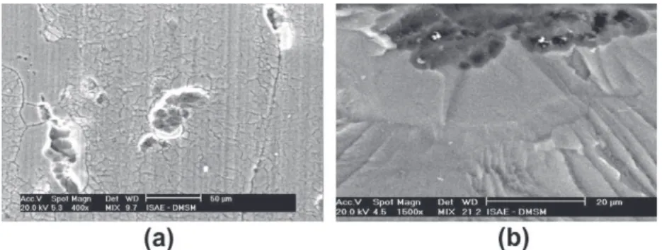 Fig. 8. Example of pickled surface topography characterization.