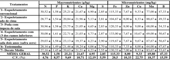 Tabela 6. Resultados das análises químicas de folhas de diferentes tipos de poda de esqueletamento do ano de 2018 em  uma lavoura de café arábica, cultivar Catuaí Vermelho IAC-44, Brejetuba, Região das Montanhas do ES 