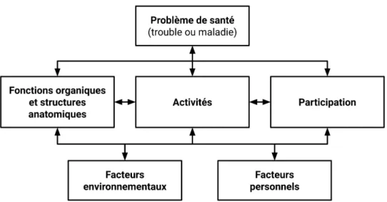 Fig. 2.2 : Représentation de la CIF