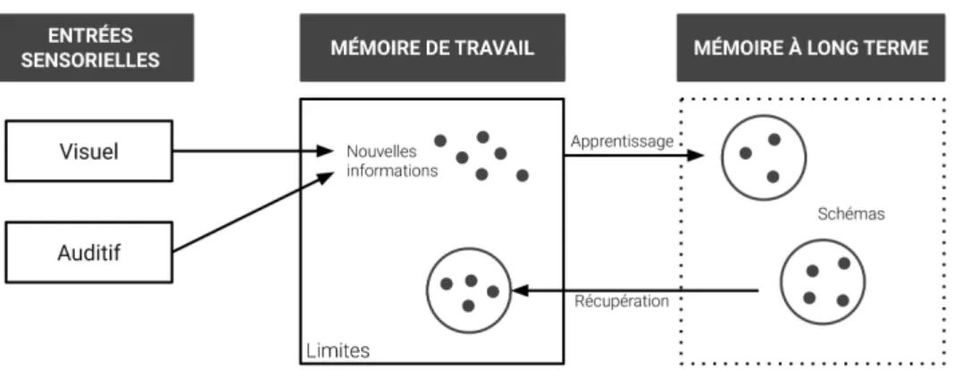 Fig. 2.4 : Architecture de la structure cognitive et construction de schémas pendant l’apprentissage.