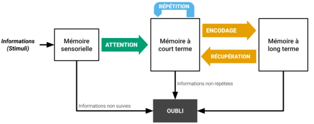 Fig. 3.4 : Modèle modal de la mémoire d’après Atkinson &amp; Shiffrin (1968)