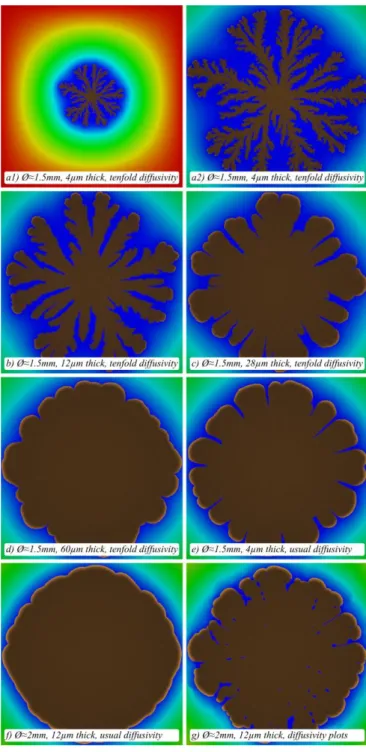 Figure 2 contains some views of the patterns obtained when  running such simulations with various conditions of substrate  thickness  and  glucose  diffusivity