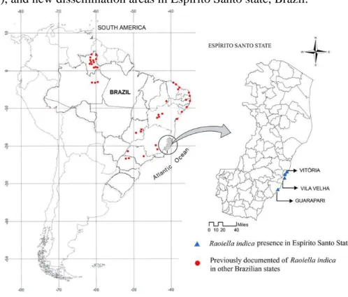 Figure 1: Brazilian states with report of Raoiella indica Hirst (Acari: Tenuipalpidae) (MELO  et al., 2018), and new dissemination areas in Espírito Santo state, Brazil