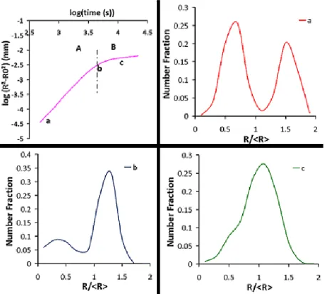 Figure 7 shows that the Bimodal kinetics can be divided into 2 linear parts – ‘A’ and 