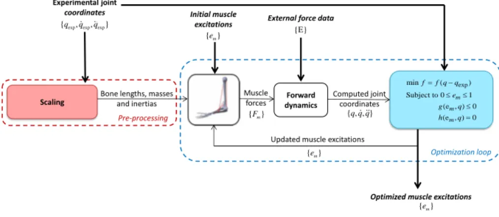 Figure 6: Forward dynamics-based optimization. The optimization problem iterates until the cost function is minimized and the constraints are satisfied