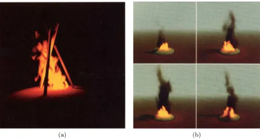 Figure 3.1 – Résultats de Stam et Fiume issus d’amalgames représentant des gaz soumis aux forces d’advection et du vent