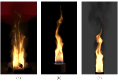 Figure 3.2 – Résultats de Nguyen et al. issues d’une simulation de fluide Navier-Stokes du combustible et des gaz secondaires