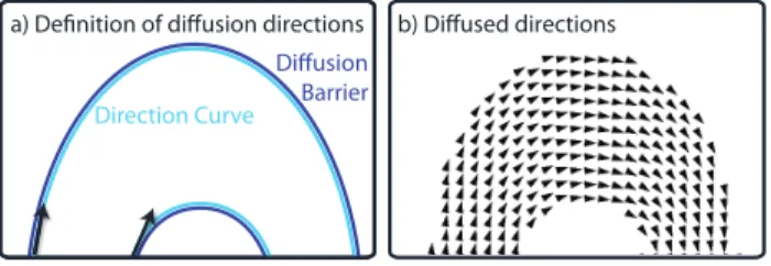 Figure 10: The directions define constraints that ensure that the color is diffused accordingly.