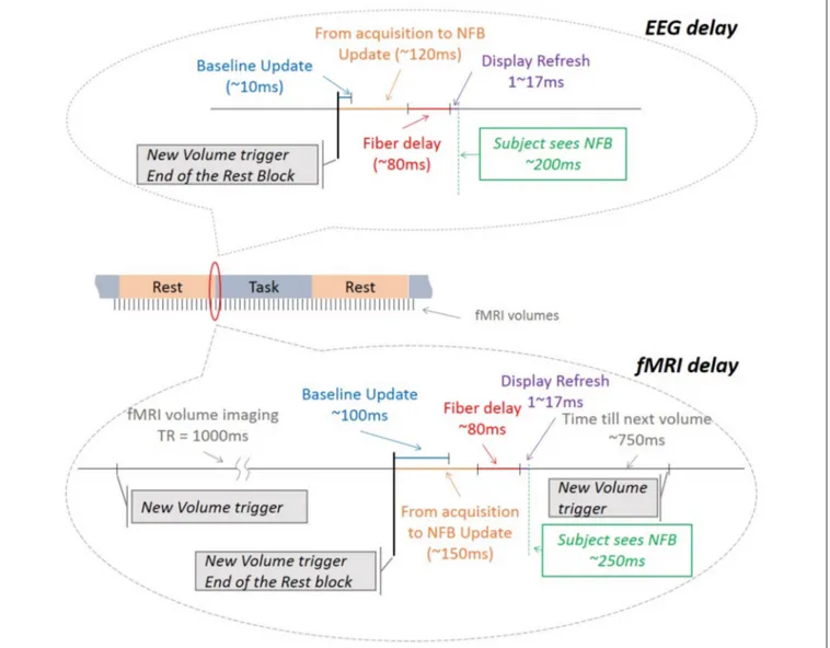 FIGURE 9 | Timeline description of all the hardware and software delays for EEG and fMRI