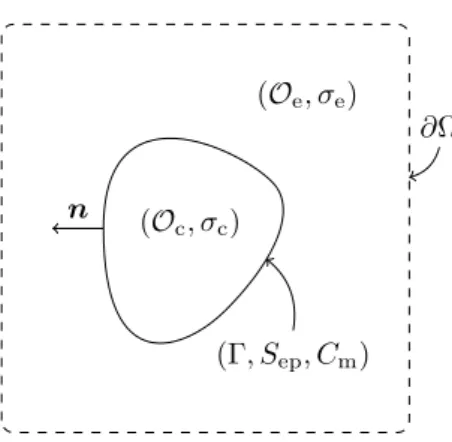 Figure 1: Geometry of the problem. The whole domain Ω is deﬁned by Ω = O e ∪ O c .