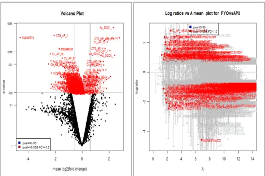 Figure 10. Volcano plots and the log ratios vs “A” plot. The volcano plot shows  a  comparison  of  p-values  and  mean  fold  changes