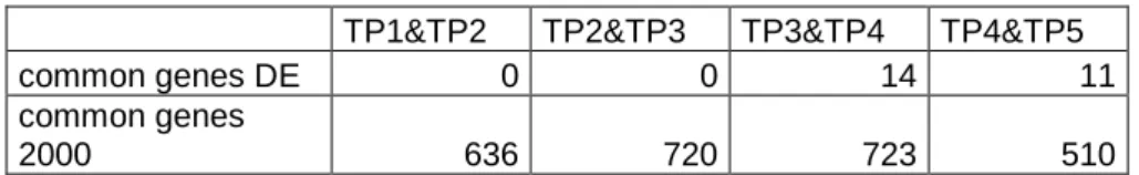 Table 3. Intersection of genes from neighboring time points. This table shows  the genes that are common between time points